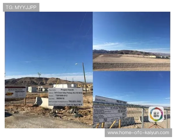 安德森防线告急：了解危机背后的隐藏真相与应对之道