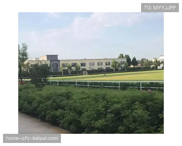 青训比赛裁判员轮训与质量监控指标体系，裁判训练计划